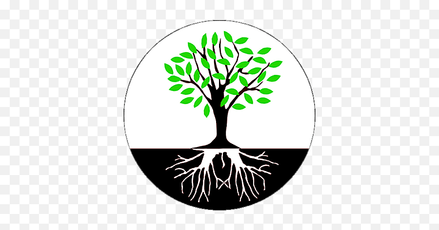 Tree Roots Png Download - Root Cause Not Symptoms,Tree Roots Png