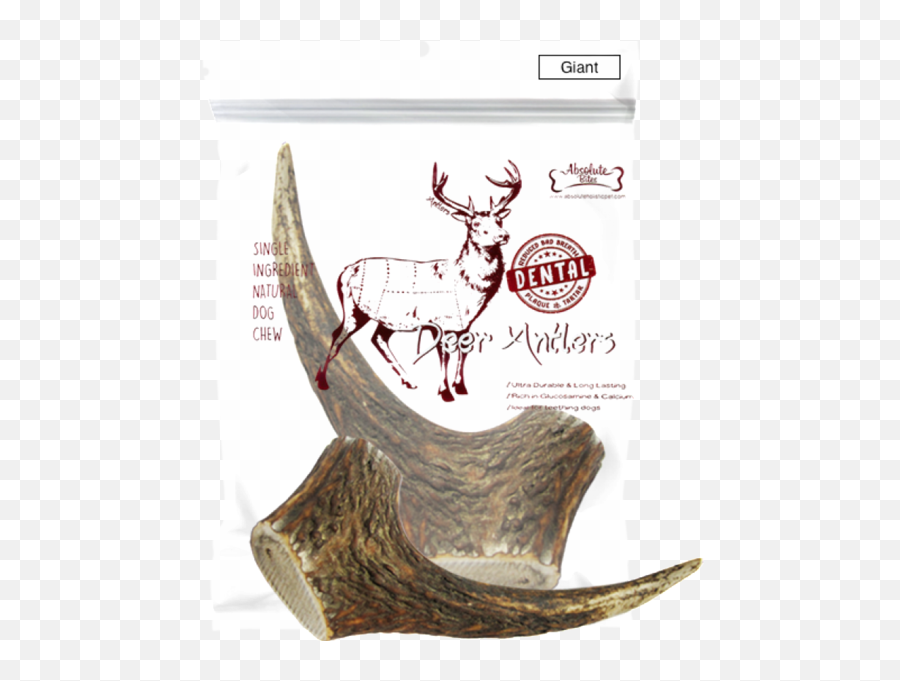 Download Absolute Bites Whole Deer Antlers Dental Chew - Ah Antler Png,Deer Antlers Png