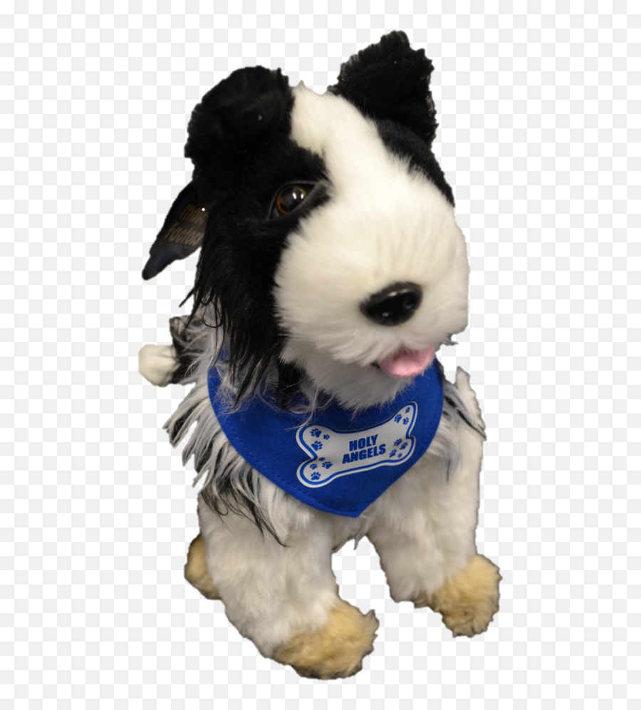Stuffed Border Collie - Dog Catches Something Png,Border Collie Png