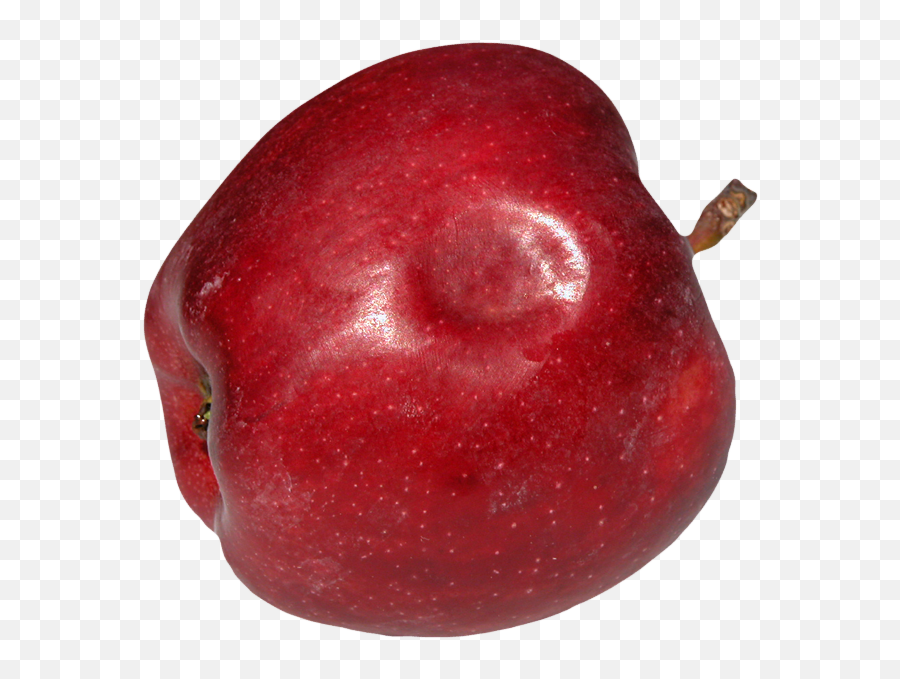 Mechanical Field Injury - Apple With A Bruise Png,Bruises Png