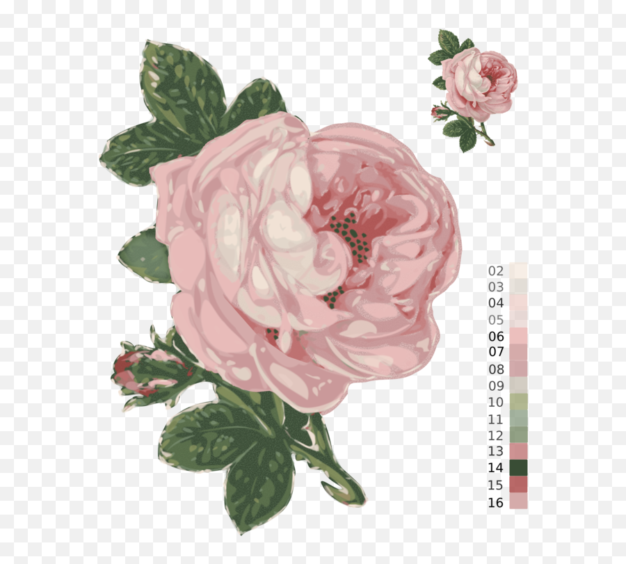 Pink Plant Flower Png Clipart - Transparent Background Flowers Png,Pink Flowers Png