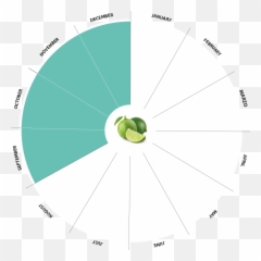Bio Lime - Vega Verde Circle Png,Limes Png
