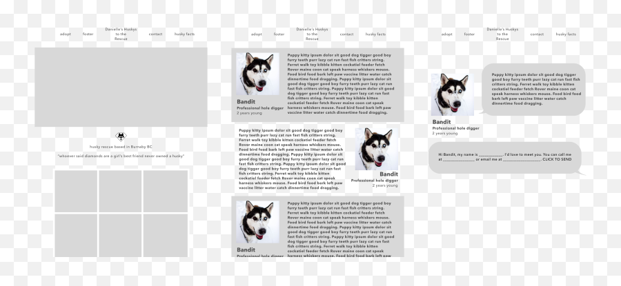 Case Study Huskys To The Rescue By Corina Sirbulescu - Miniature Siberian Husky Png,Husky Transparent Background