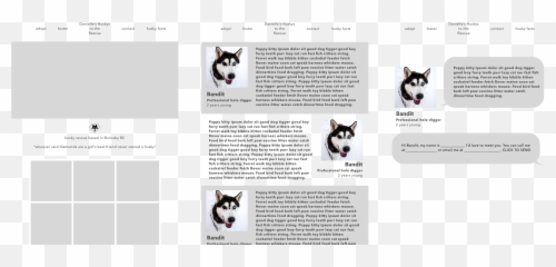 Case Study Huskys To The Rescue By Corina Sirbulescu - Miniature Siberian png