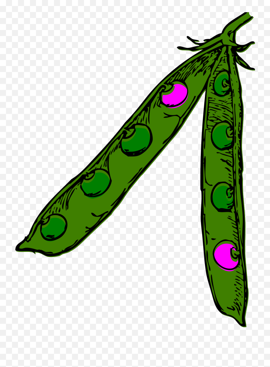 Two Pink Peas 2 Svg Vector Clip Art - Svg Pea Pod Png,Pea Png