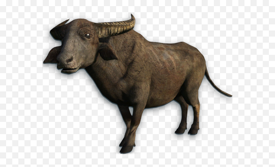 Water Buffalo Png Transparent Picture - Water Buffalo Png,Buffalo Png