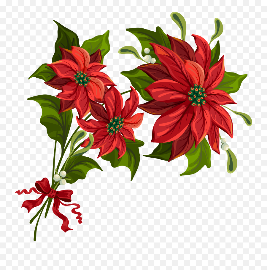 Holly Clipart Transparent Background - Flower Related To Christmas Png,Clip Art Transparent Background
