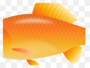 Goldfish Clipart Elmo - Fish png