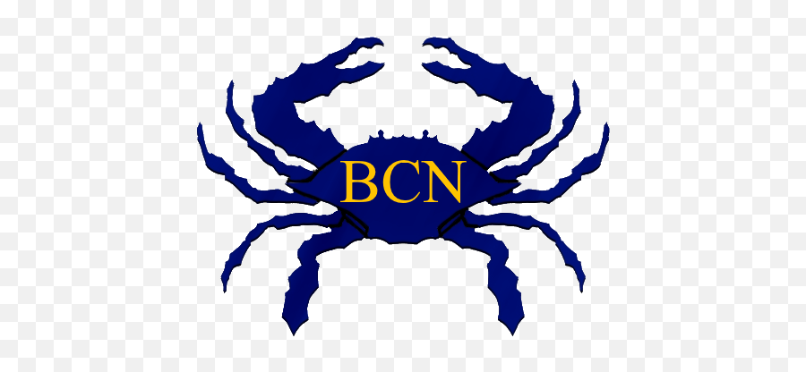 Blue Crab Networks - Rock Crab Png,Blue Crab Png