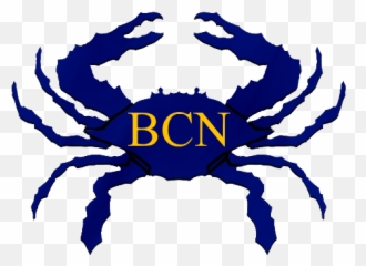 Blue Crab Networks - Rock Crab Png,Blue Crab Png