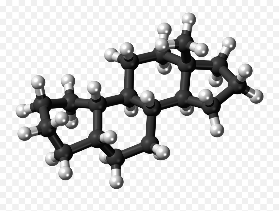 File5beta - Estrane Molecule Ballpng Wikimedia Commons Steroids Molecule Png,White Ball Png