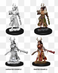 Human Female Druid - Marvelous Miniatures Human Druid Png,Druid Png