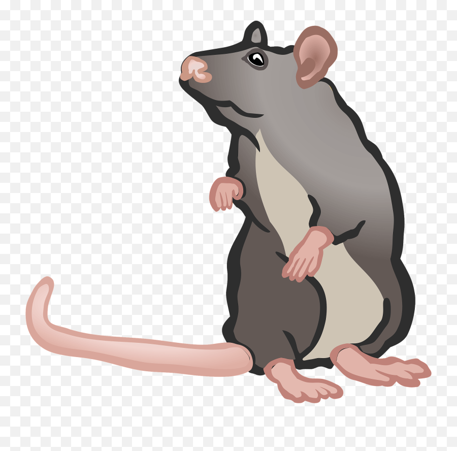 Mouse Clipart Free Download Transparent Png Creazilla - 2 Mouse Clipart,Mouse Animal Png