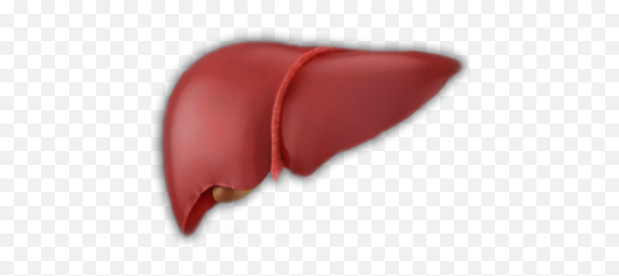 Lbs - Lovely Png,Liver Icon