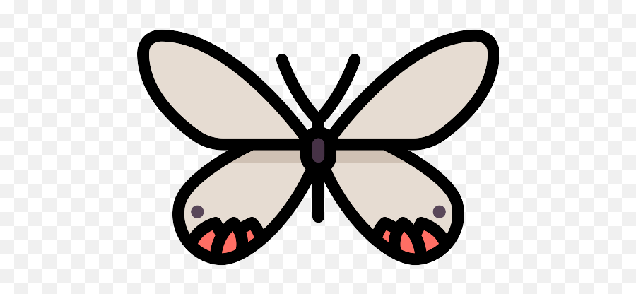 Vector Svg Icon - Girly Png,Butterfly Icon Image Girly