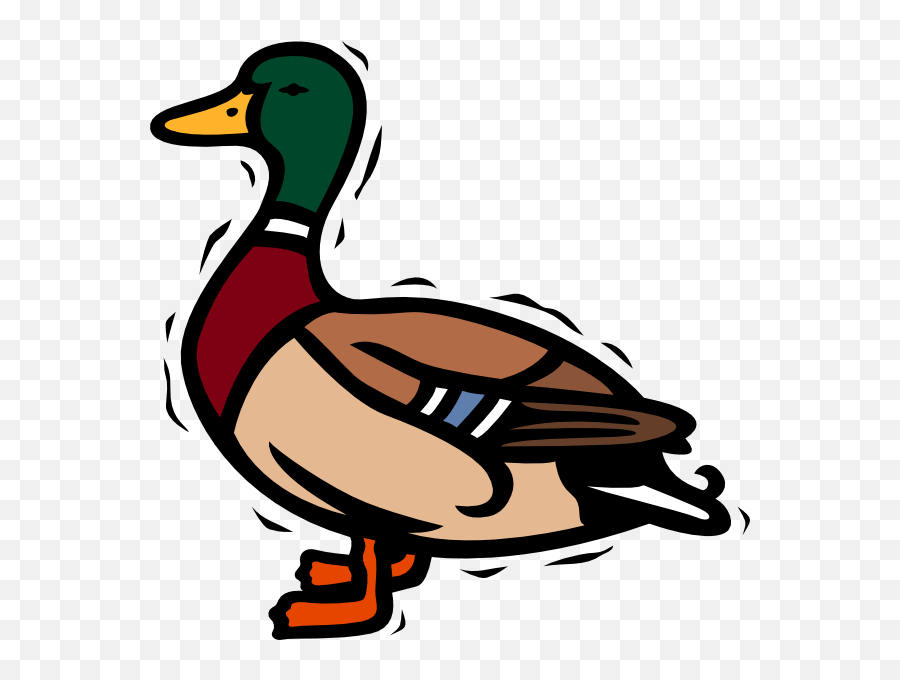 Download Mallard Duck Clipart Png Image - Duck Clipart,Duck Clipart Png