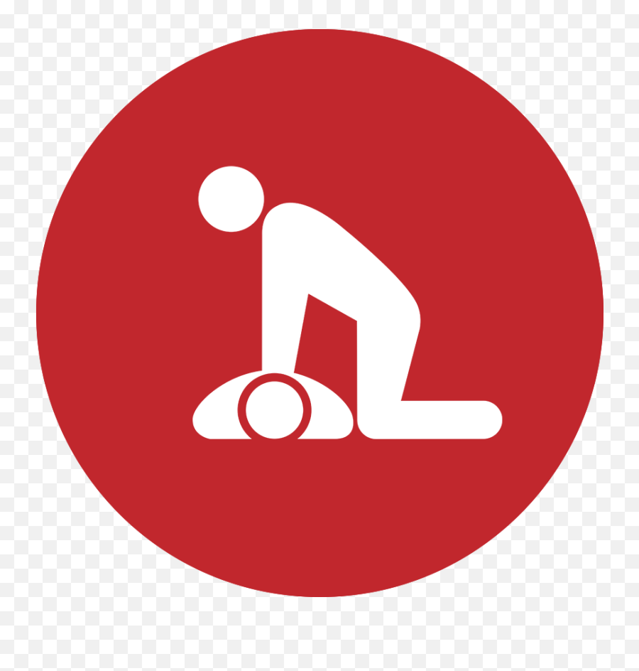 Icon - Bystandercprclass U2013 Lifenet Emergency Medical Rcp Png,Employee Portal Icon