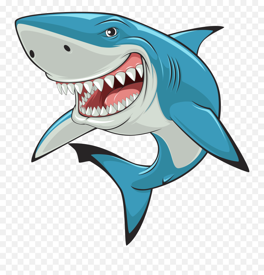 Index Of Images - Shark Cartoon Png,Shark Png
