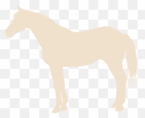 Door County Bed And Breakfast - Chanticleer Guest House Fethard Horse Country Experience png