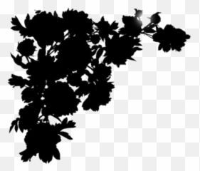 Rose Border Png Hd Images Stickers Vectors - Black Roses Png Border