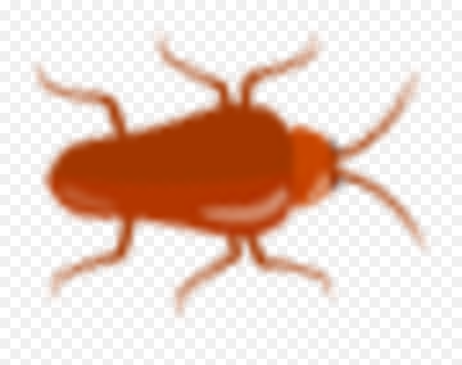 What Sign Of Cockroach Infestation Might Food Service - Parasitism Png,Cockroach Icon