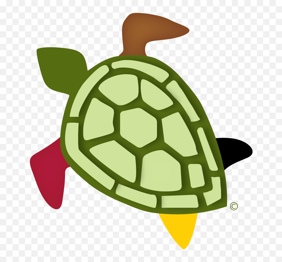 Minoritypostdoc University Of California Berkeley - Icon Png,Turtle Shell Icon