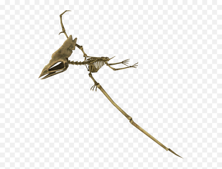 Frontier - Insect Png,Pterodactyl Png