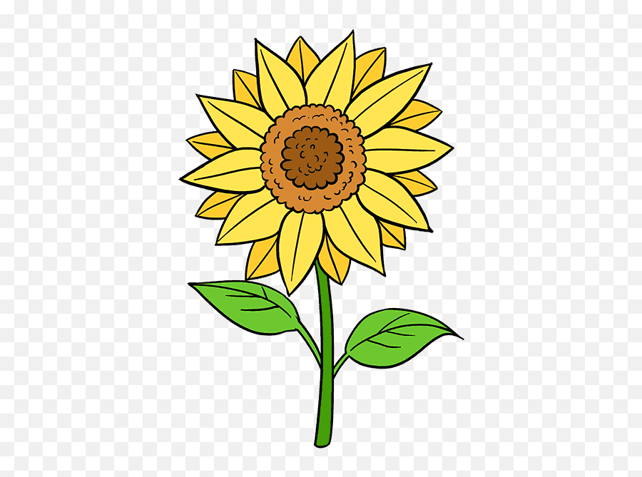 Download Clip Transparent Stock How To Draw A Sunflower Easy - Flowers And Drawing Easy Png,Transparent Sunflower