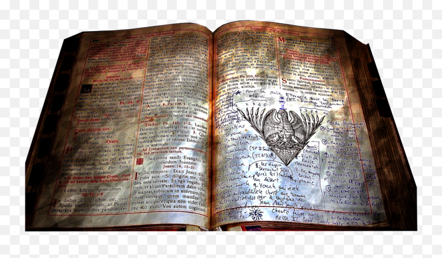 Allysha Lavino - Ancient Book Png,Magic Book Png