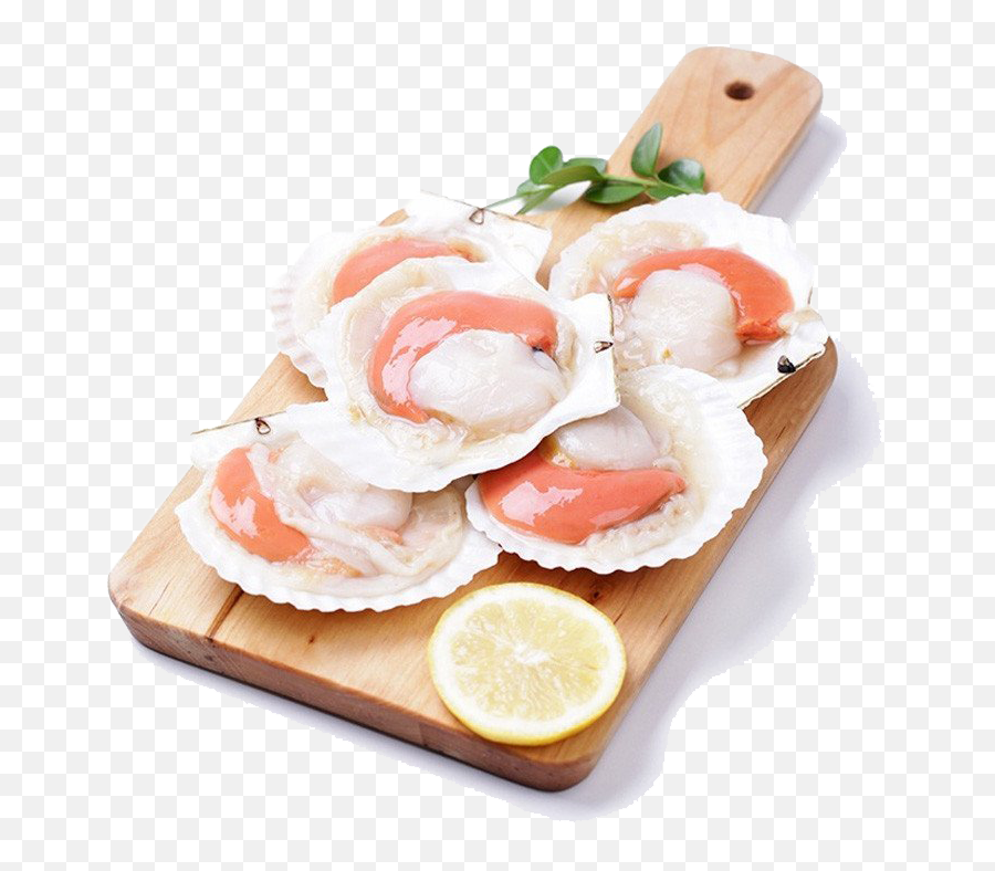 Half Shell Scallop With Roe 1kg - Half Shell Scallop Png,Shell Png