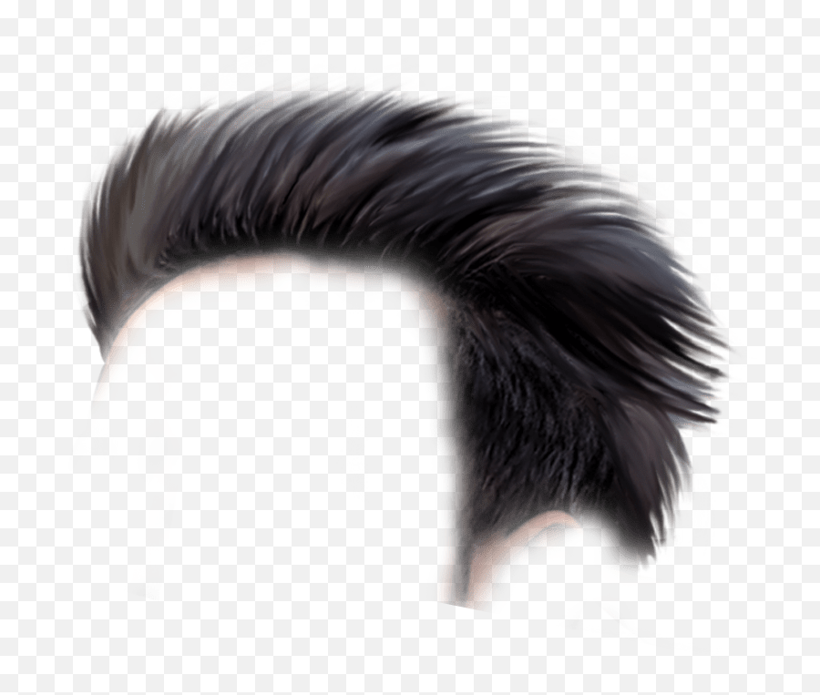 Png Albums Of Hair Boy - Hair Style Boy Logo,Black Hair Png