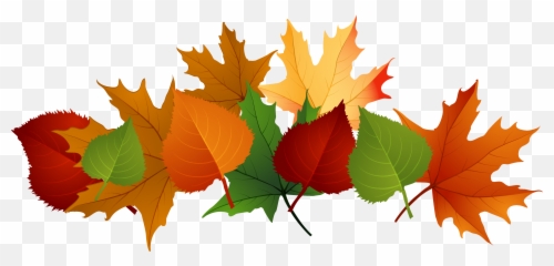 Library Of Line Break Leaves Maple Banner Page - Transparent Background Fall Leaves Clipart png