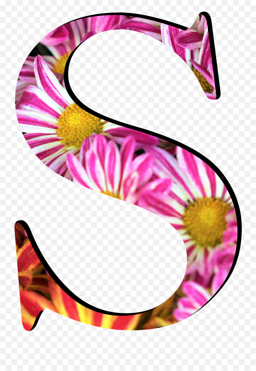 Flower Pattern Letters S - Number Png,Flower Pattern Png