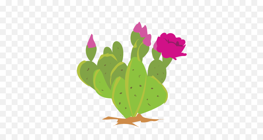 Prickly Pear Cactus Clipart - Illustration Png,Cactus Clipart Png