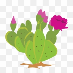 Prickly Pear Cactus Clipart - Illustration Png,Cactus Clipart Png