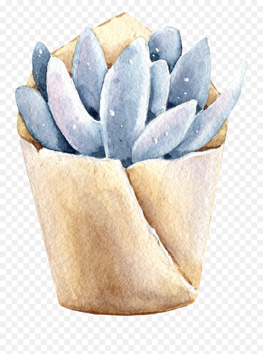 Download Succulents Hand Painted Watercolors Of Transparent - Paper Png,Succulents Png