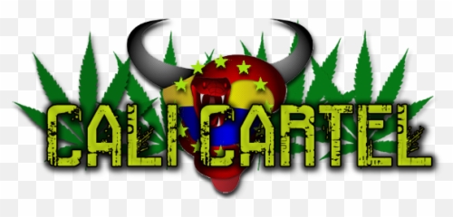 Vozdovac Del Cali - Cannabis Png,Cartel Png