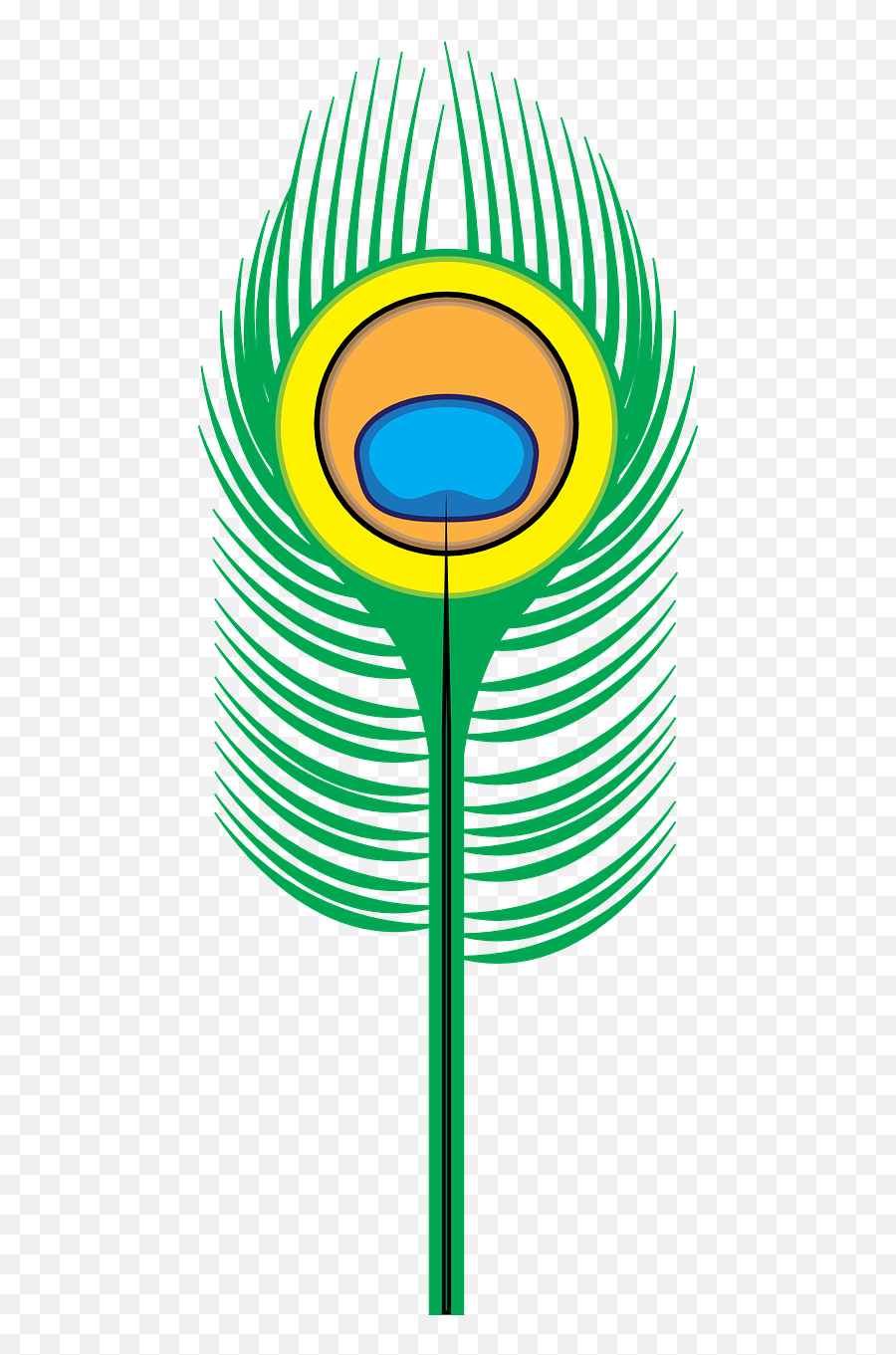 Peacock Feather Bird - Cartoon Peacock Feather Drawing Png,Peacock Feather  Png - free transparent png images 