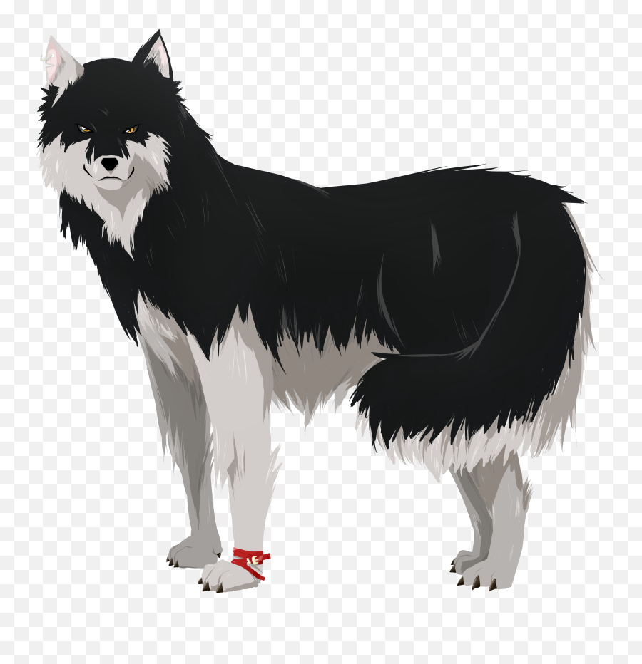 Download Hd Drawing Wolves Husky - Wolf Transparent Png Husky Wolf Mix Drawing,Husky Transparent Background