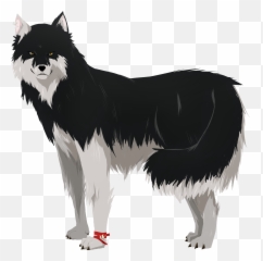 Download Hd Drawing Wolves Husky - Wolf Transparent PNG Mix