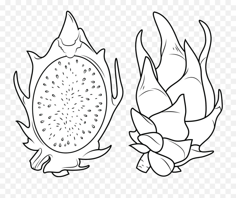 Clipart Dragon Fruit Coloring Pages - Dragon Fruit Png Drawing,Dragon Fruit Png