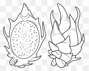 Clipart Dragon Fruit Coloring Pages - Dragon Fruit Png Drawing,Dragon Fruit Png