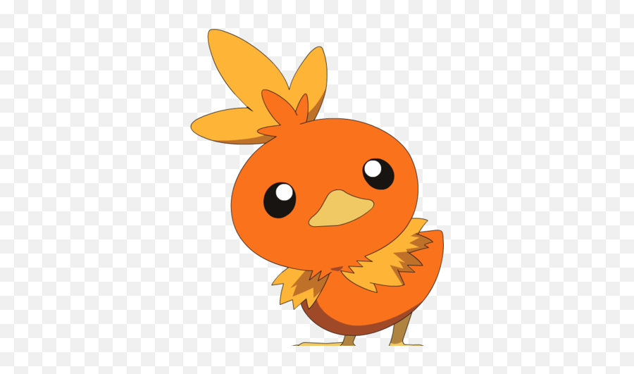 Your Guide To Pokemon Wikia - Pokemon Torchic Male Png,Torchic Png