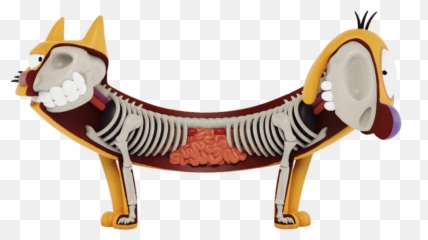 Jason Freeny Catdog Transparent Cartoon - Jingfm Nickelodeon And Dog png