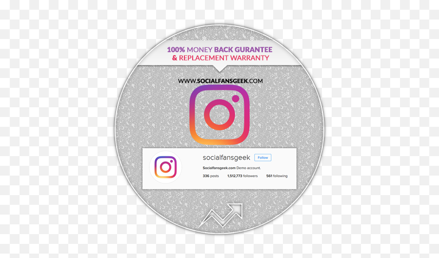 Buy Instagram Followers Real Cheap U0026 Instant Delivery - Auxiliary Memory Png,Instagram Logo Grey