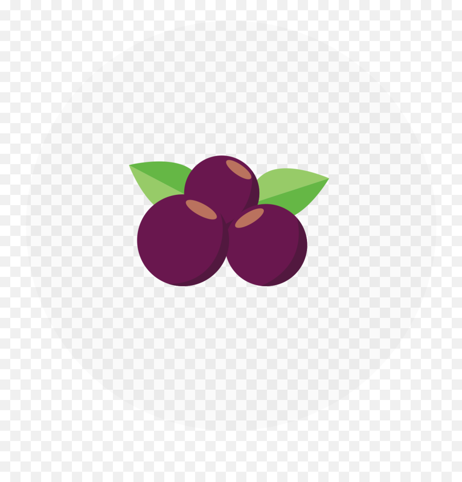 Acai Berry Sorbet - Superfood Png,Flavor Icon