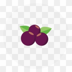 Acai Berry Sorbet - Superfood Png,Flavor Icon