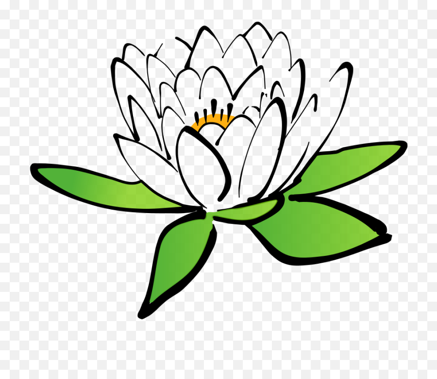 3000 Free Lotus Flower U0026 Images - Pixabay Cartoon Flowers Transparent Background Png,Flower Bouquet Transparent Background