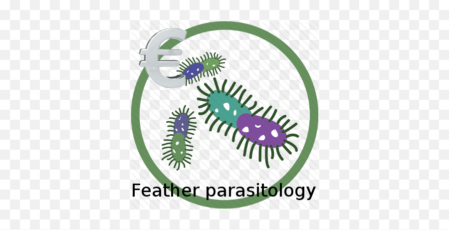 Low Cost Feather Parasitology 3 - 6 Days Arthropod Png,Low Cost Icon