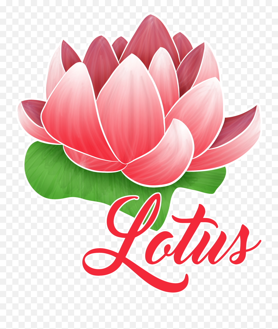 Download Hd Lotus Logo Red - Sacred Lotus Transparent Png Lets Beauty Logo,Lotus Logo